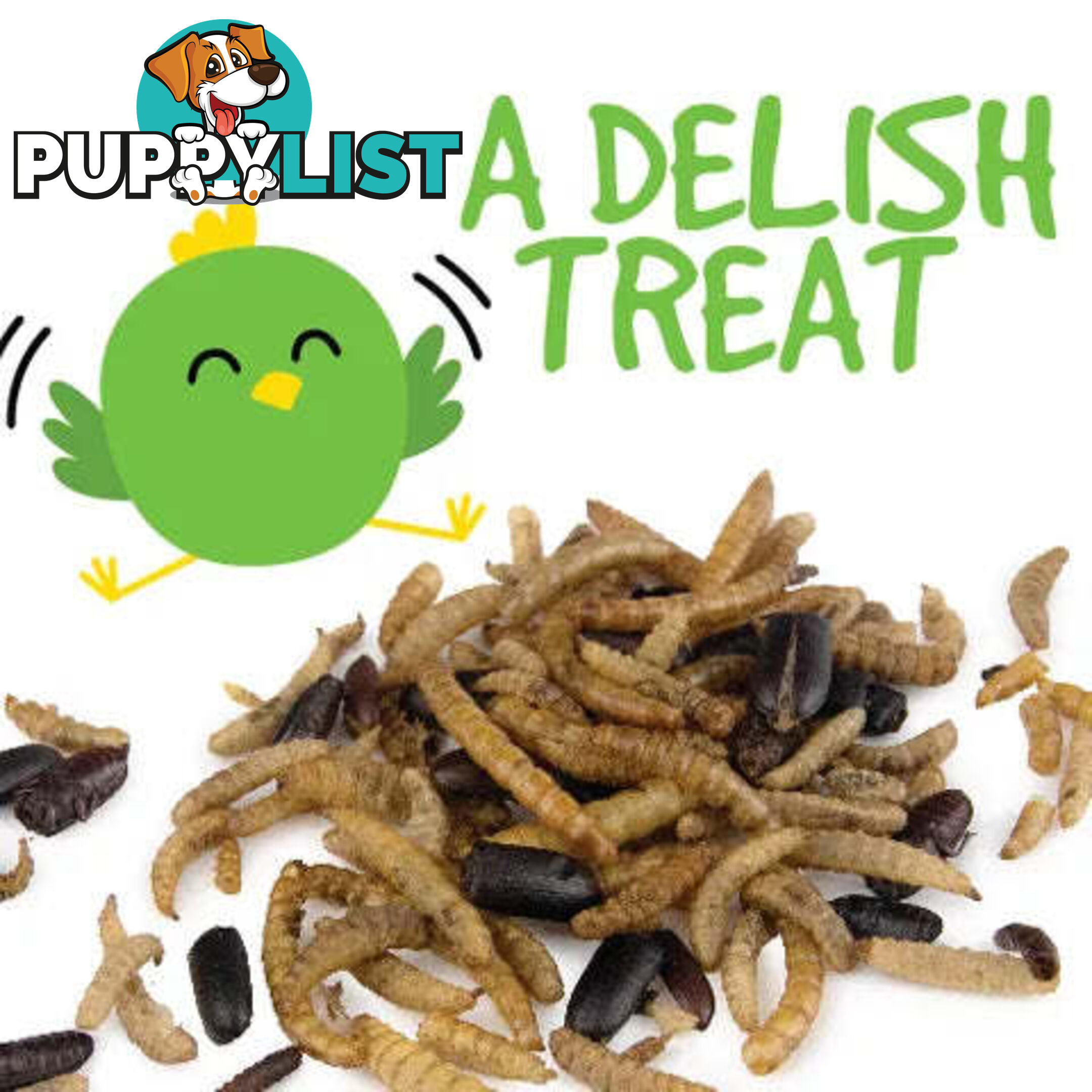 DRIED BUG MIX - BAINBRIDGE - BB-A8456