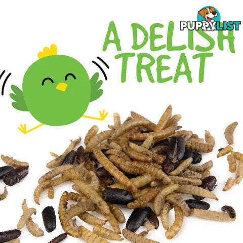 DRIED BUG MIX - BAINBRIDGE - BB-A8456