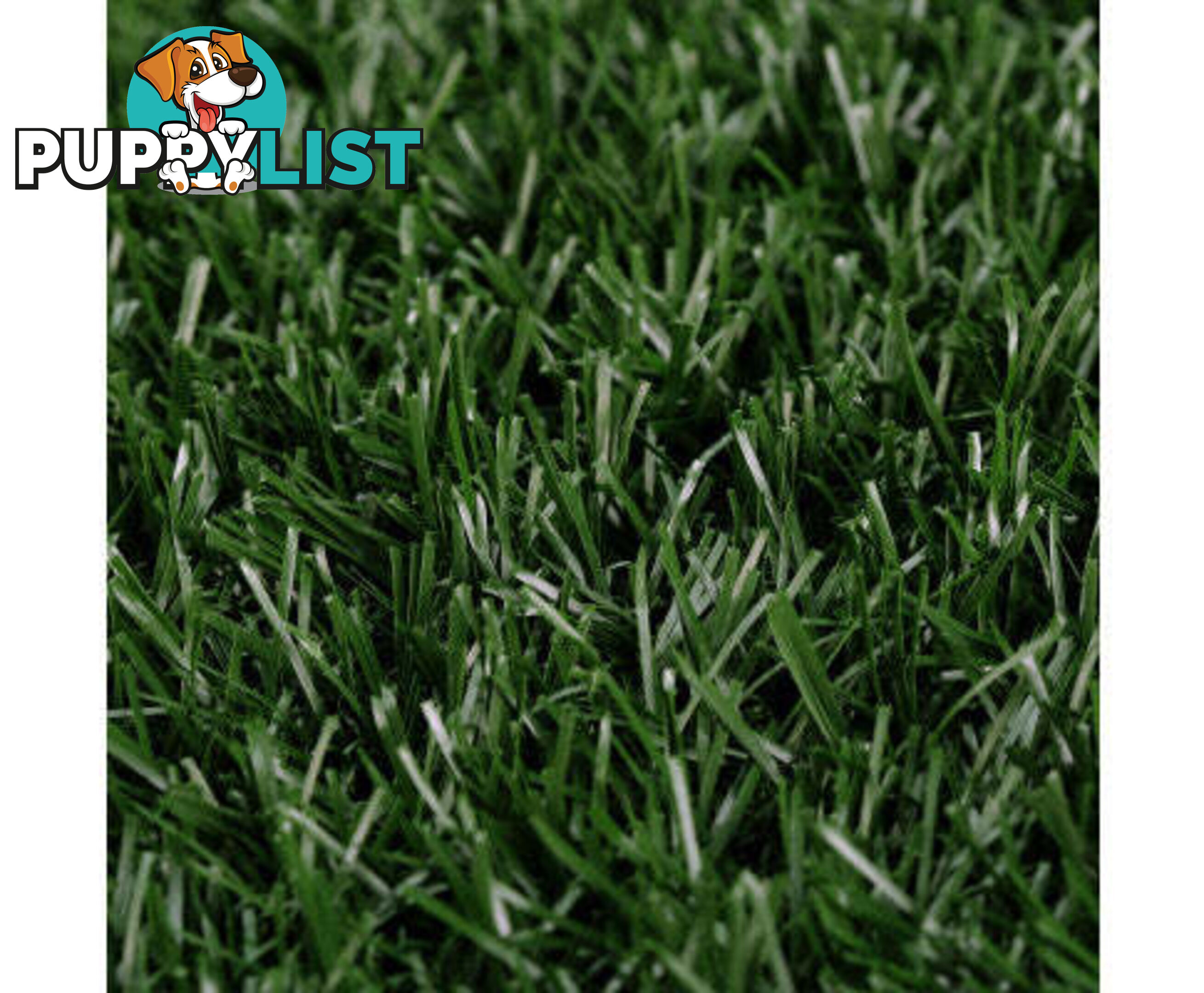 Paw Mate Grass Mat for Pet Dog Potty Tray Training Toilet 58.5cm x 46cm - V274-PET-MAT-208A-X4