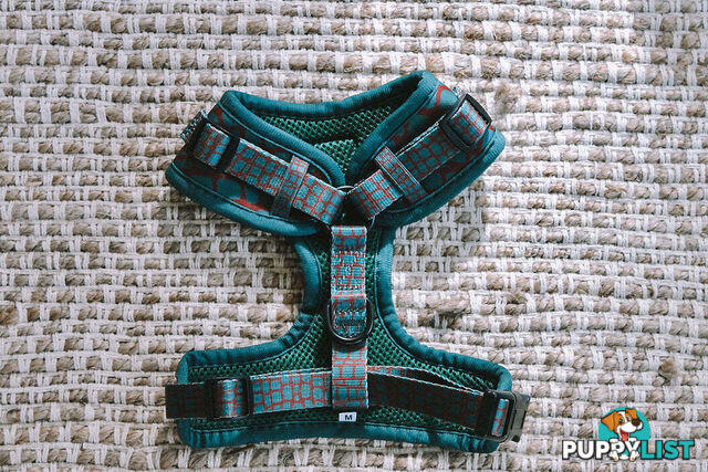 Designer Dog Harness by Explore with Paws - EWPHARTURLN