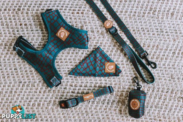 Designer Dog Harness by Explore with Paws - EWPHARTURLN