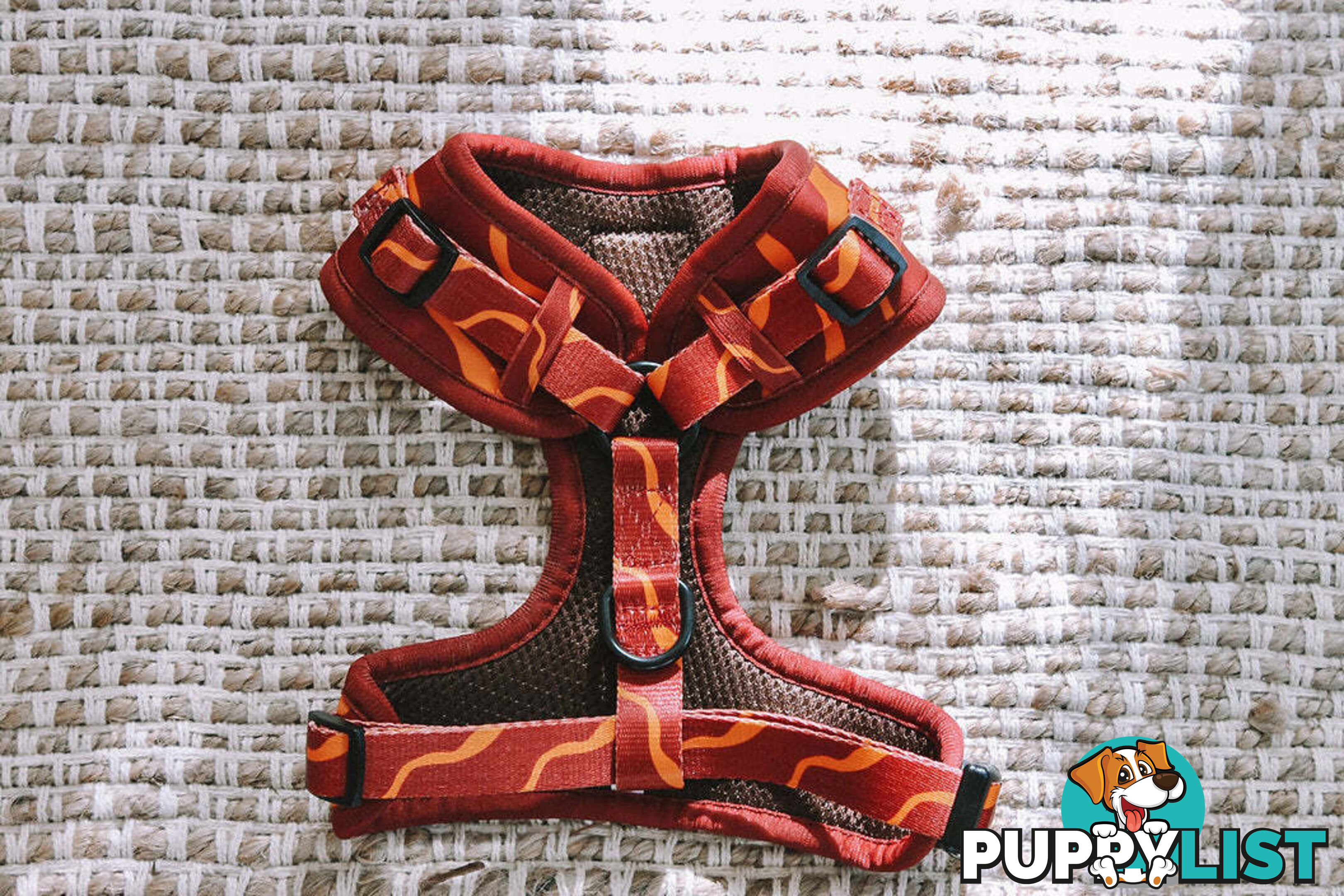 Designer Dog Harness by Explore with Paws - EWPHARTURLN