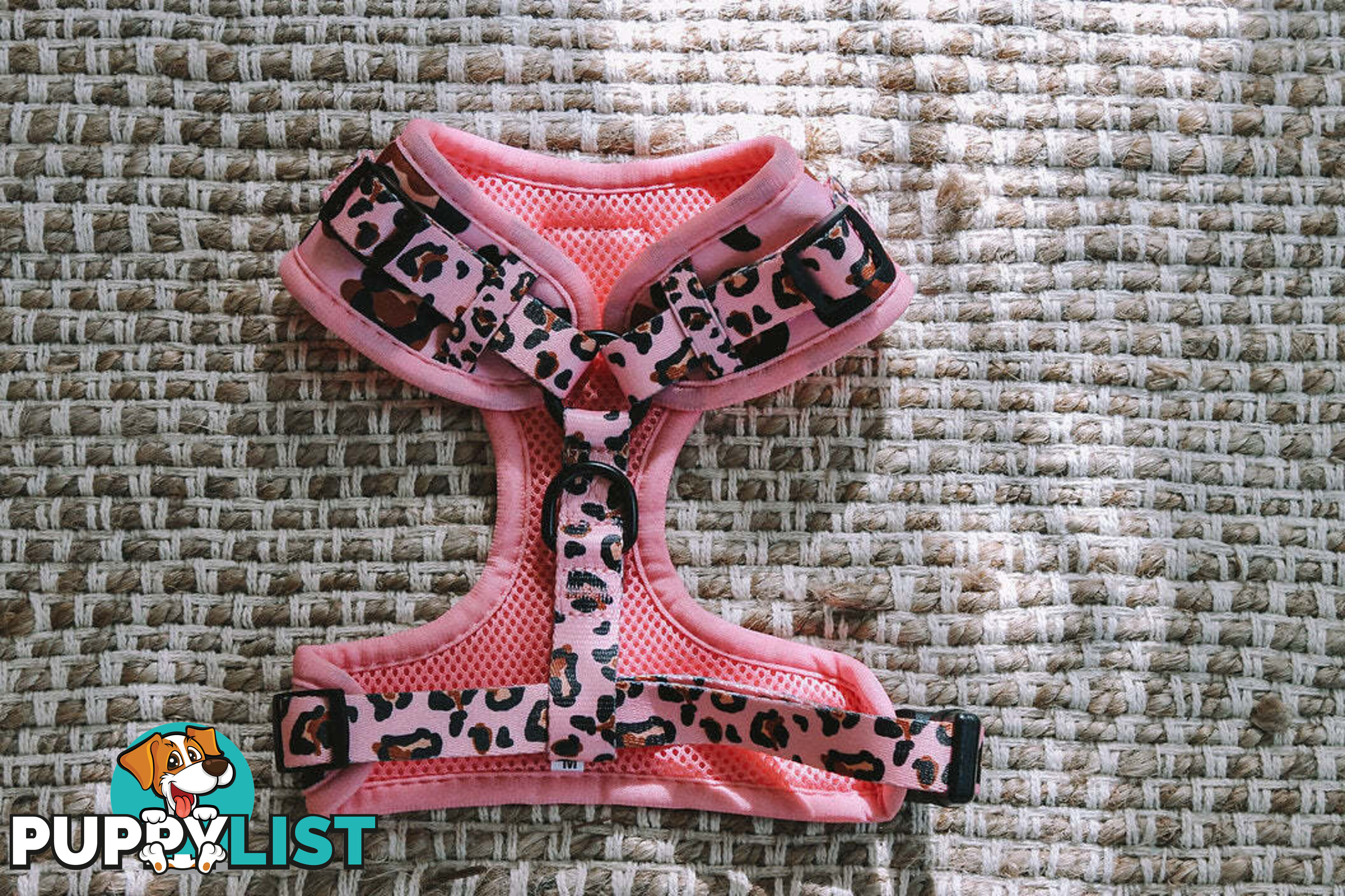 Designer Dog Harness by Explore with Paws - EWPHARTURLN