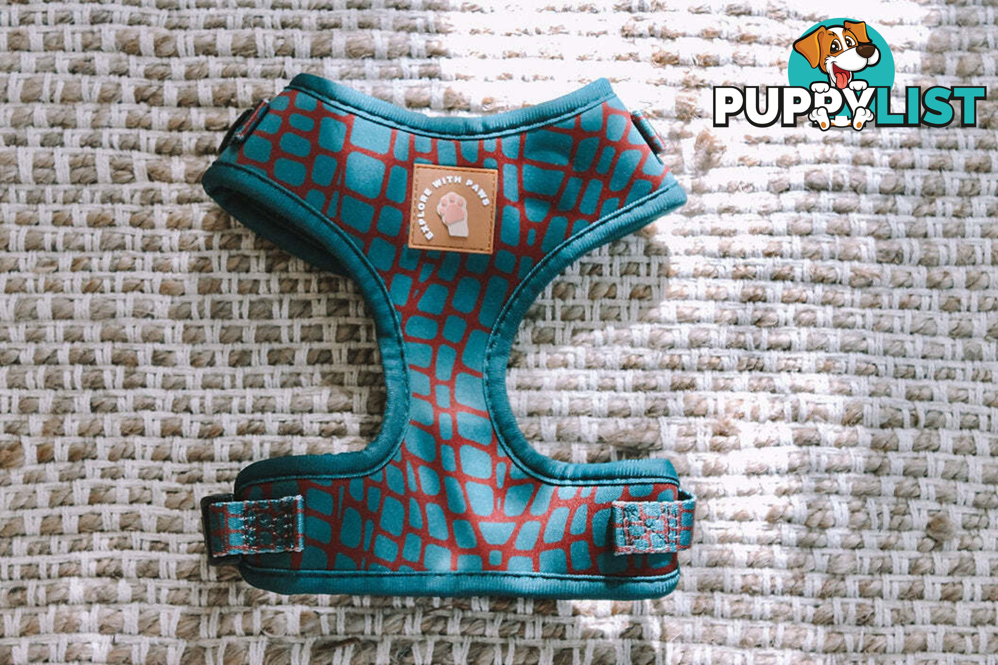 Designer Dog Harness by Explore with Paws - EWPHARTURLN