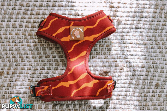 Designer Dog Harness by Explore with Paws - EWPHARTURLN