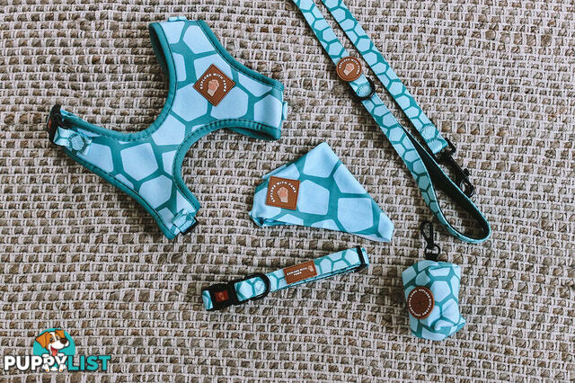 Designer Dog Harness by Explore with Paws - EWPHARTURLN