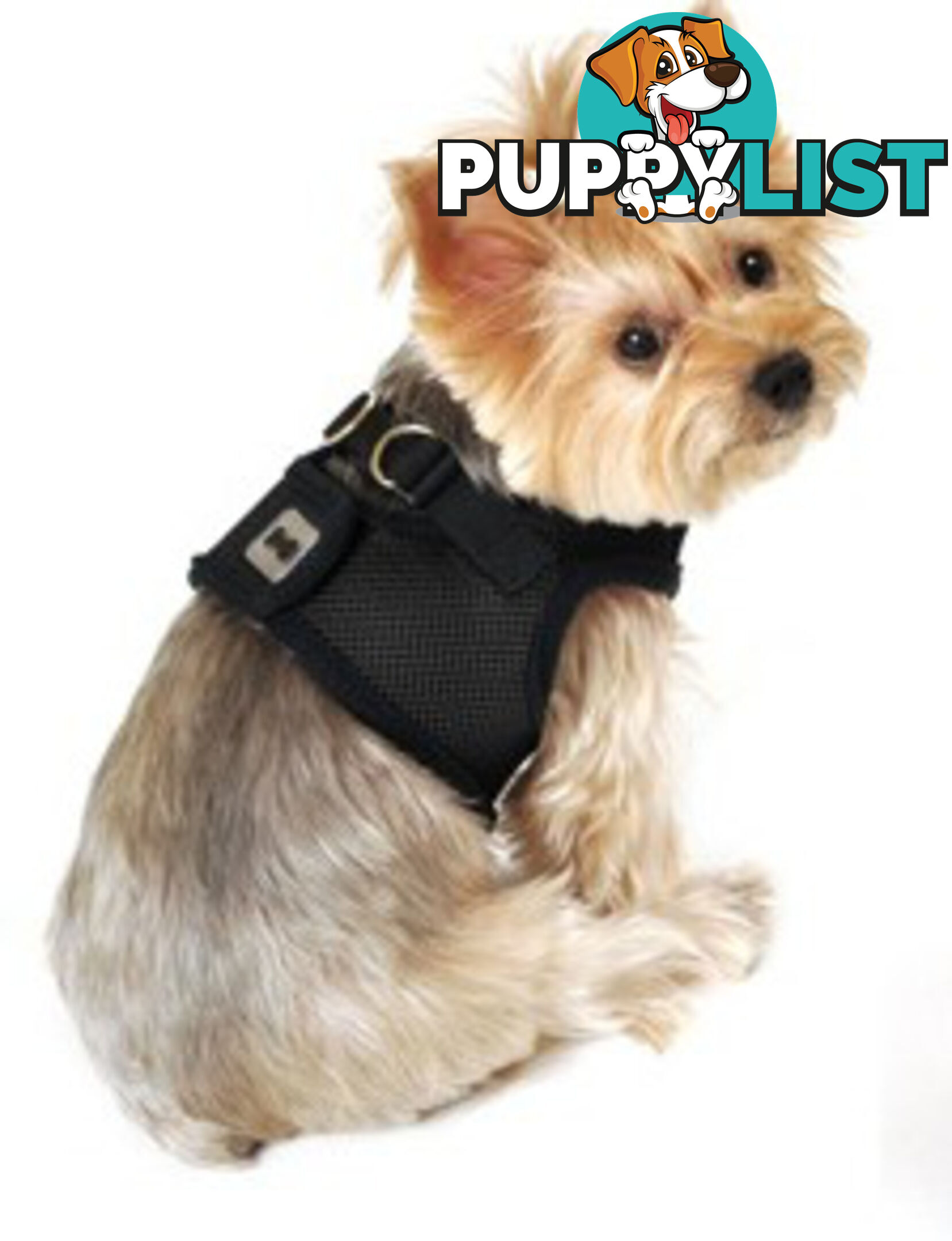 Vest Harness Pet Dog-Cat Step-in Velcro and Buckle Attachments - Moondidley Pets - MDPVESTXLLBLU