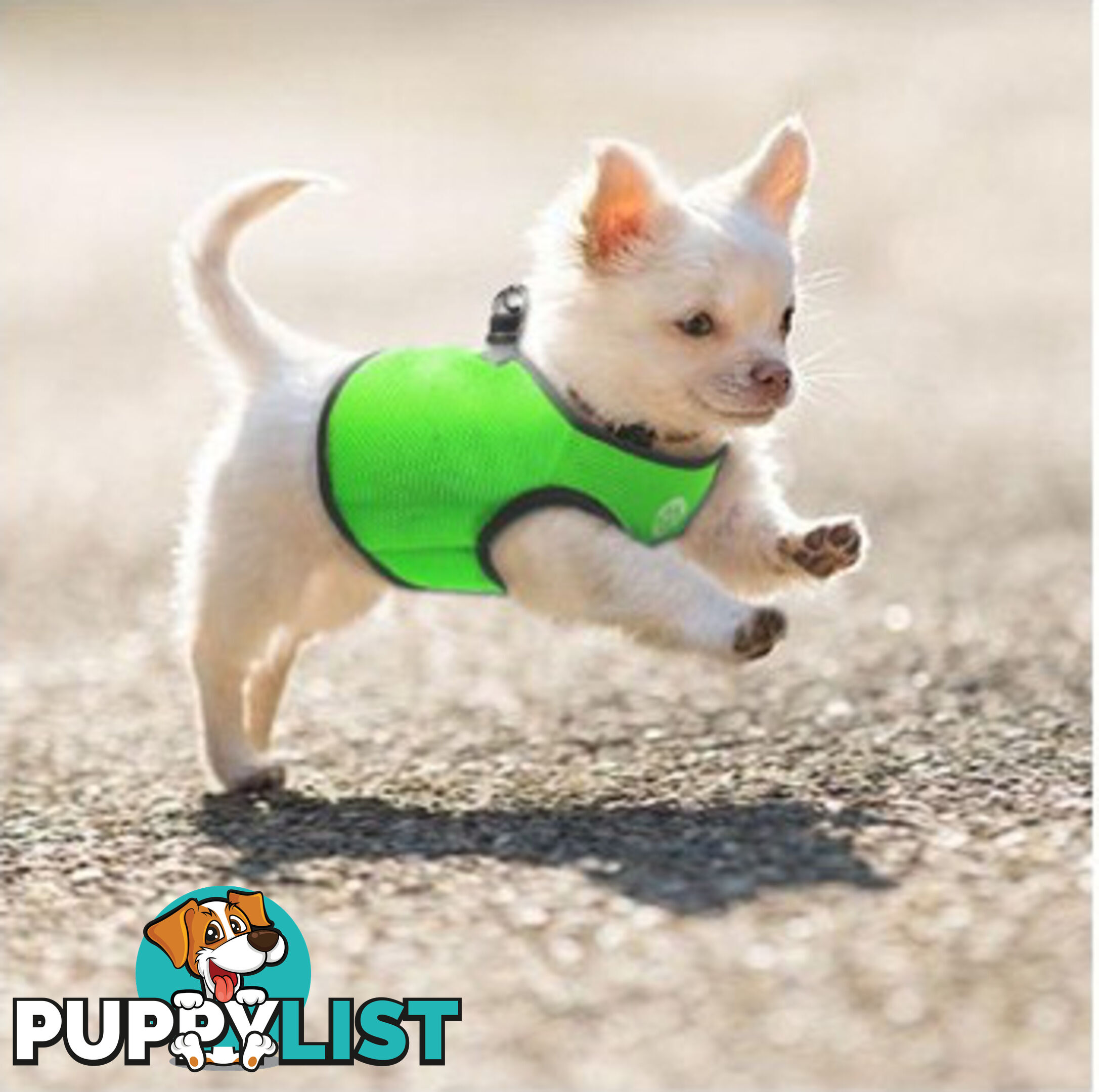 Vest Harness Pet Dog-Cat Step-in Velcro and Buckle Attachments - Moondidley Pets - MDPVESTXLLBLU