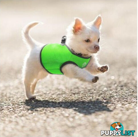 Vest Harness Pet Dog-Cat Step-in Velcro and Buckle Attachments - Moondidley Pets - MDPVESTXLLBLU