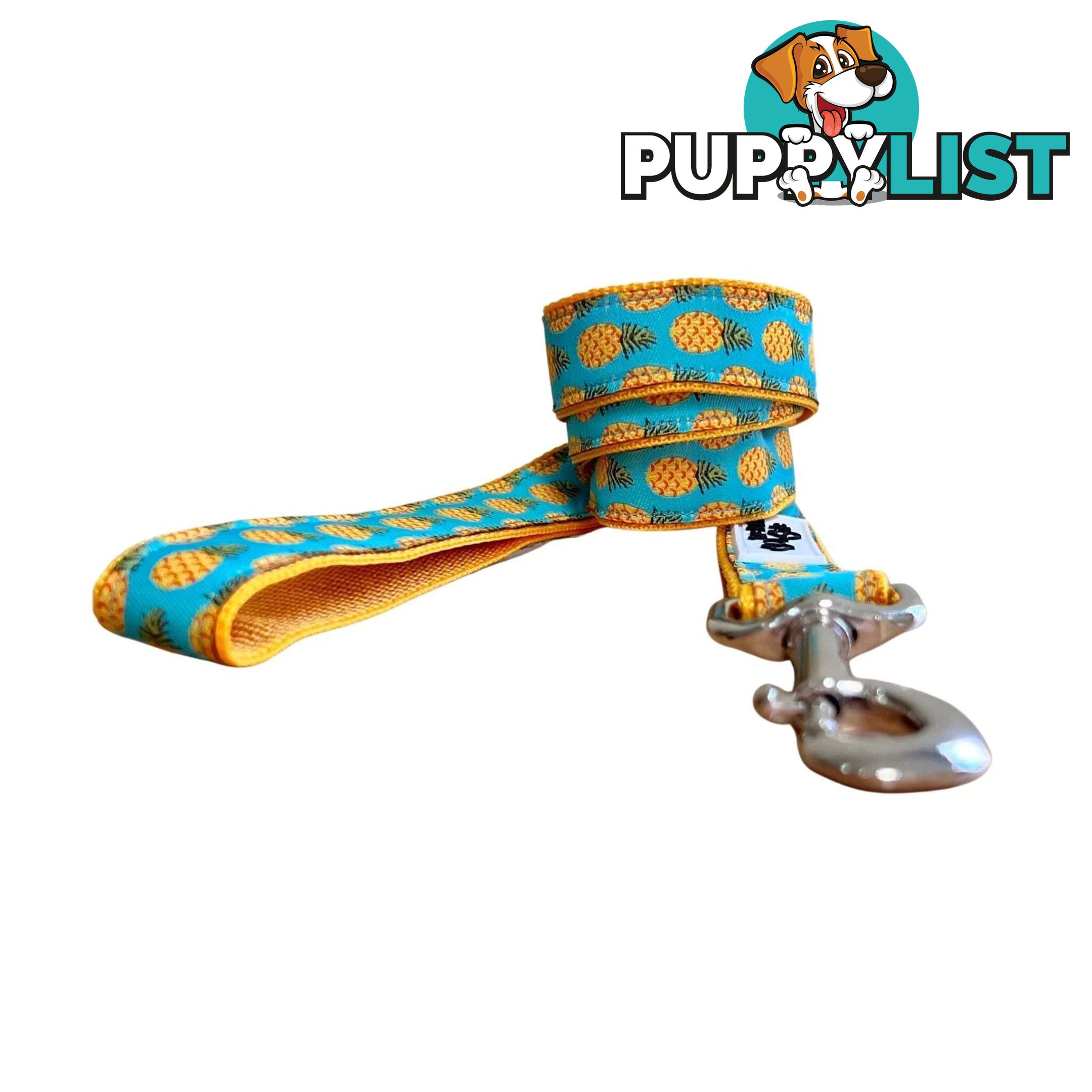 Pineapple Dog Lead - Hand Made by The Bark Side - TBSLDPINE201.8