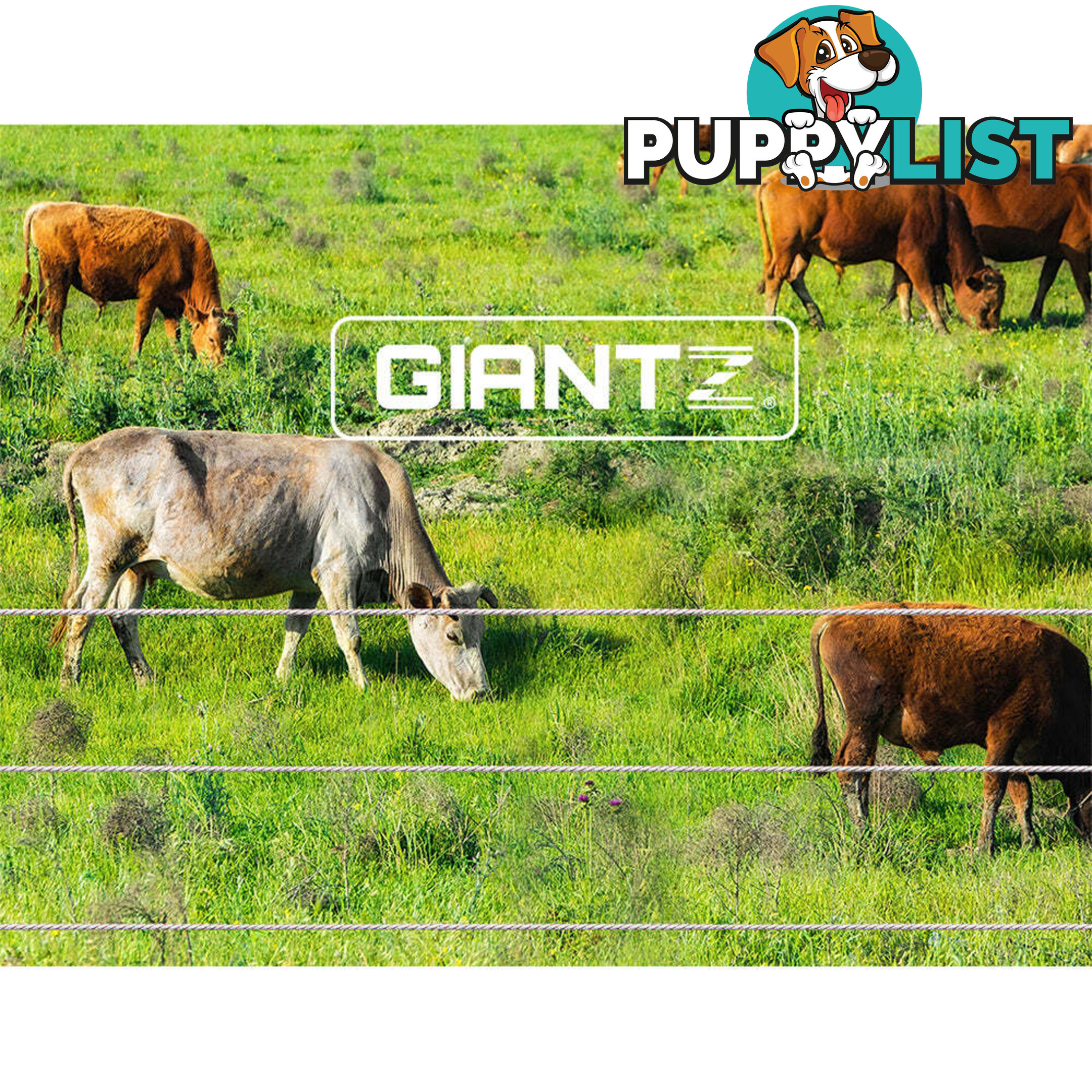 Giantz Electric Fence Poly Wire 2000M - FIK-WIRE-2000M