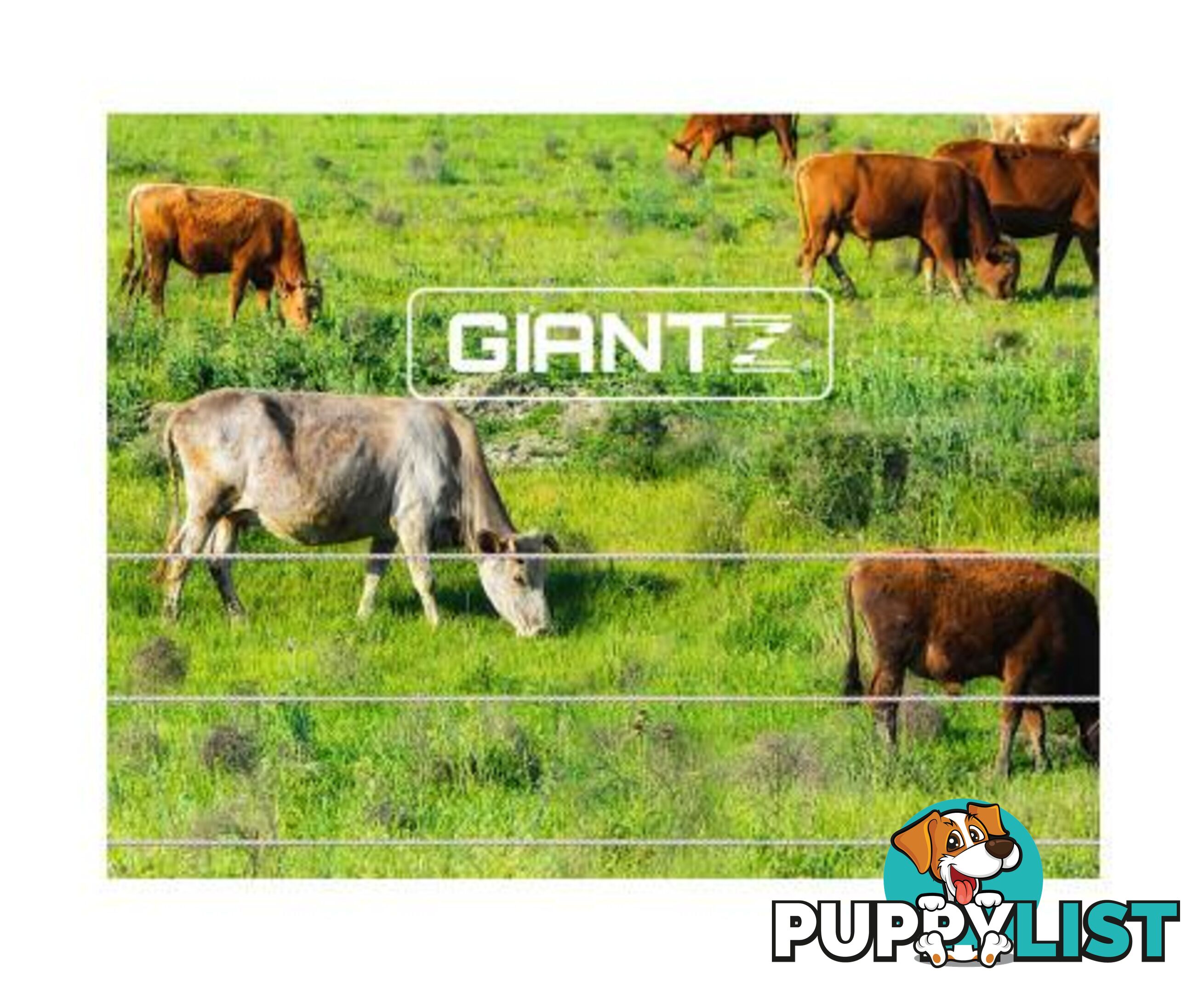 Giantz Electric Fence Poly Wire 2000M - FIK-WIRE-2000M