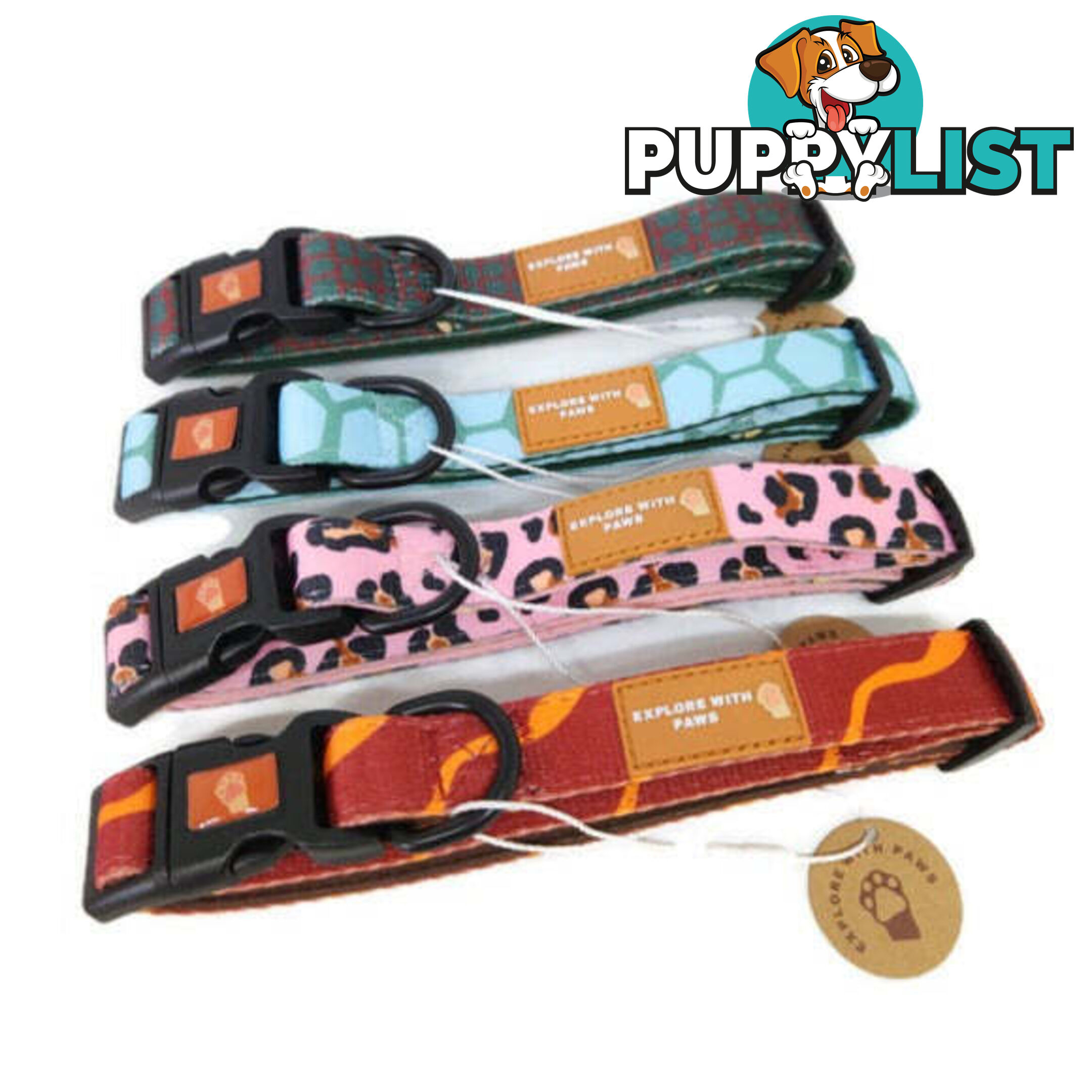 Designer Dog Collars by Explore with Paws - EWPCOLXSLEON