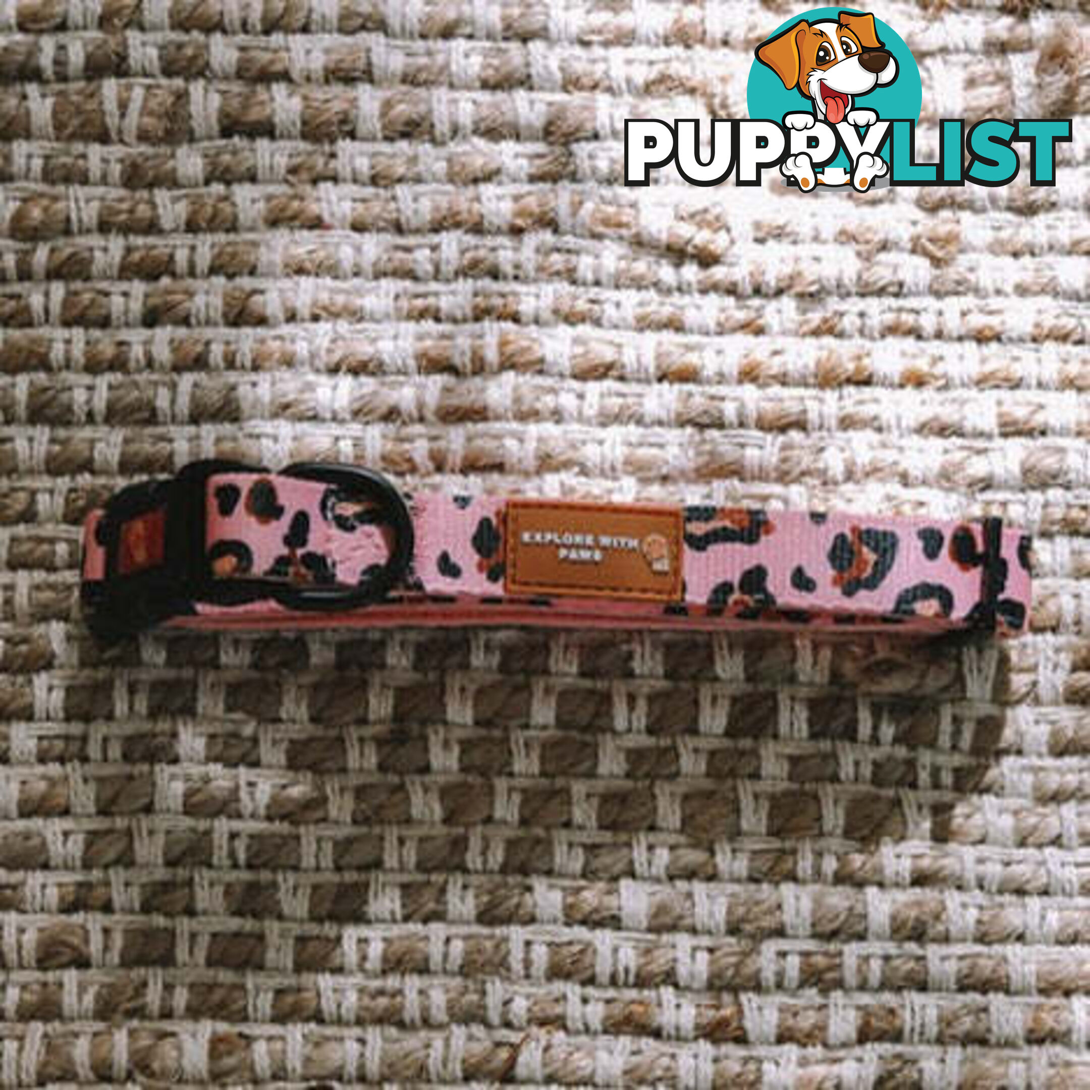 Designer Dog Collars by Explore with Paws - EWPCOLXSLEON