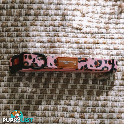 Designer Dog Collars by Explore with Paws - EWPCOLXSLEON