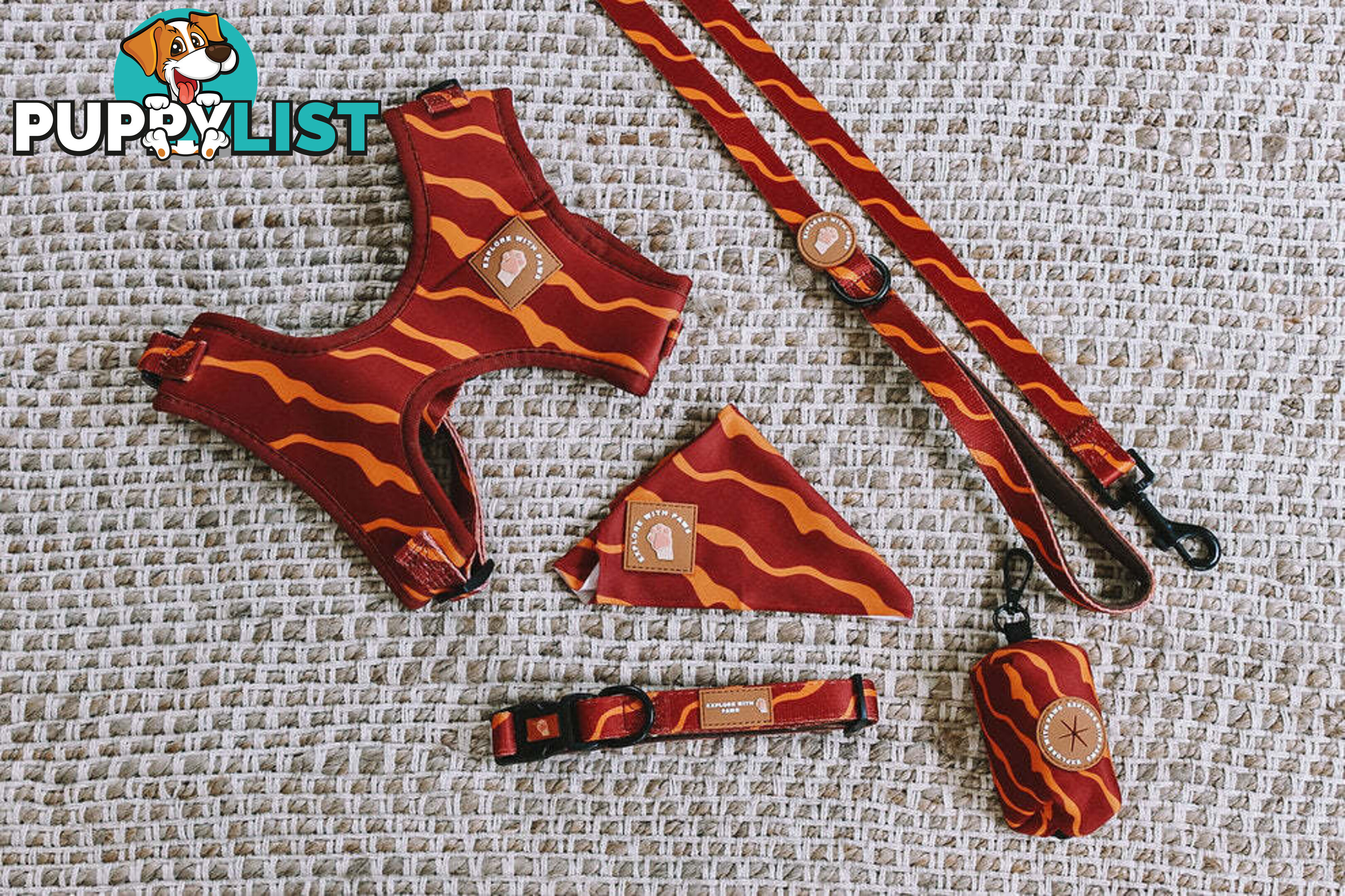 Designer Dog Collars by Explore with Paws - EWPCOLXSLEON