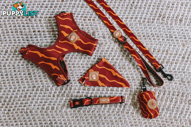 Designer Dog Collars by Explore with Paws - EWPCOLXSLEON