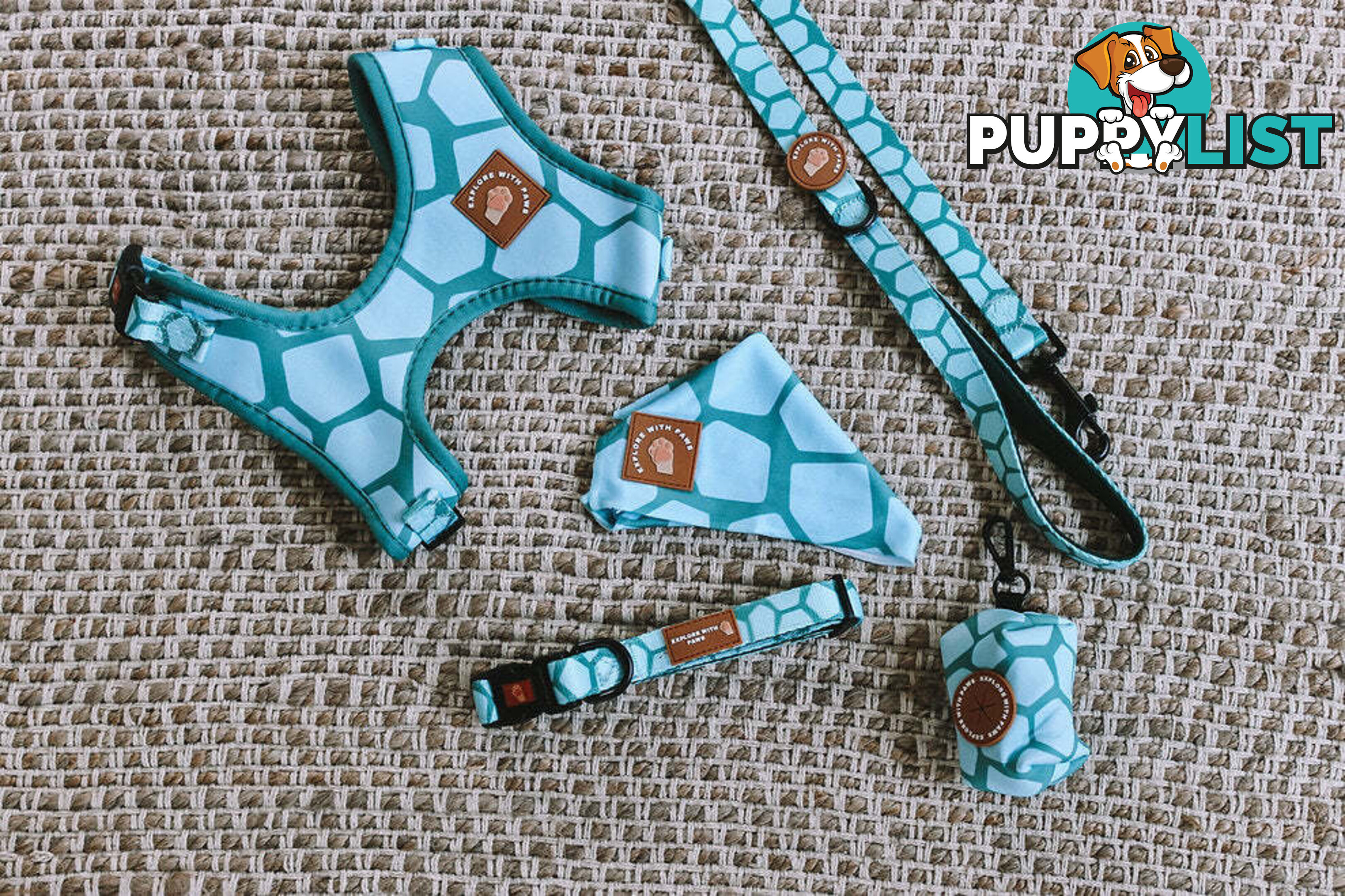 Designer Dog Collars by Explore with Paws - EWPCOLXSLEON