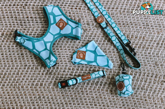 Designer Dog Collars by Explore with Paws - EWPCOLXSLEON