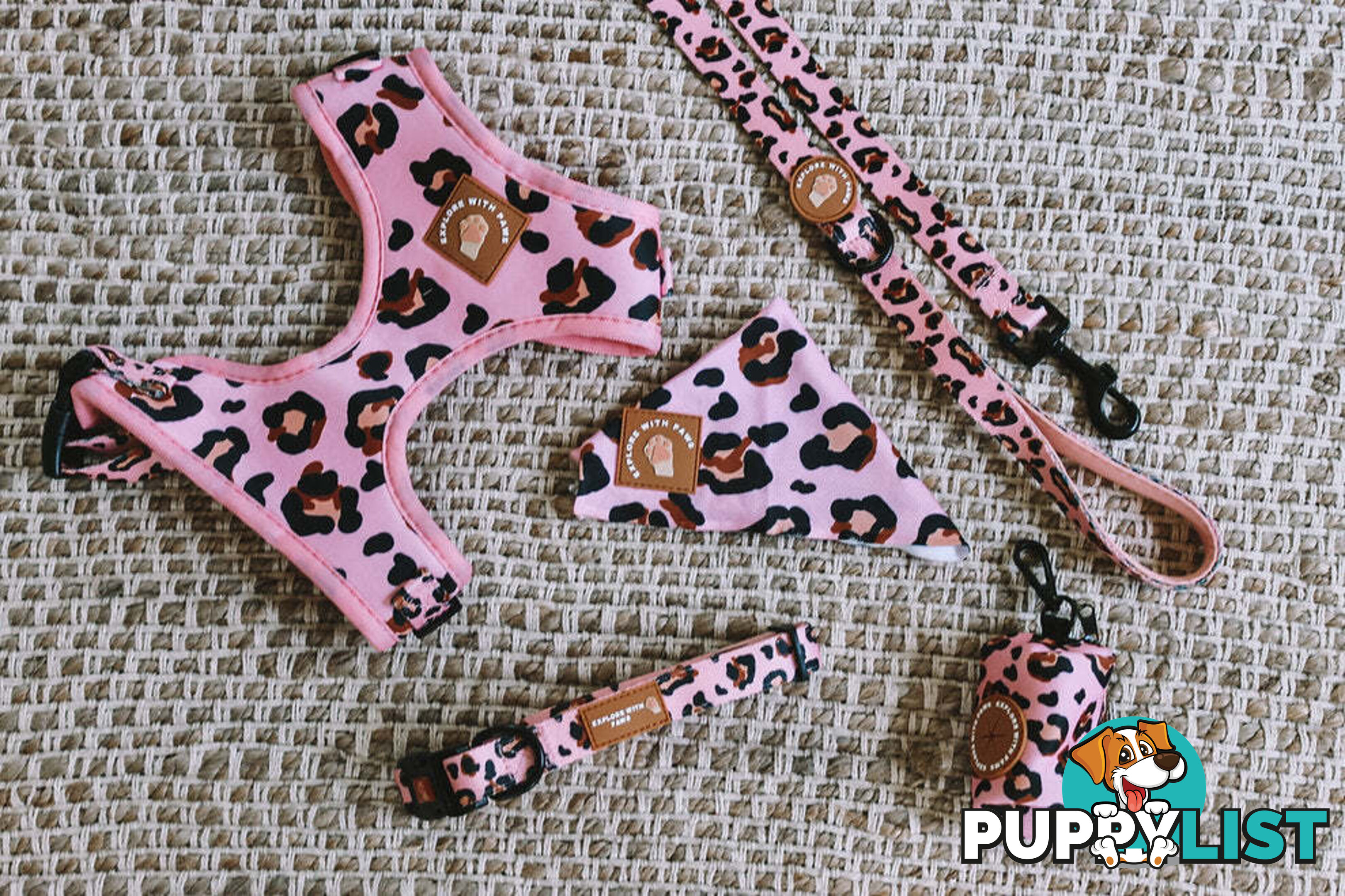 Designer Dog Collars by Explore with Paws - EWPCOLXSLEON
