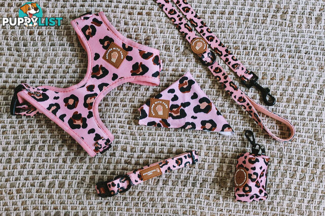 Designer Dog Collars by Explore with Paws - EWPCOLXSLEON
