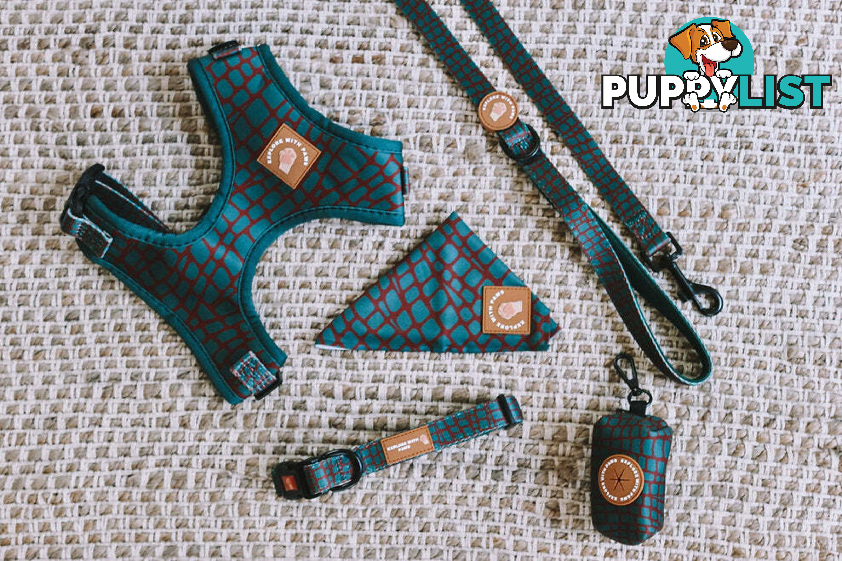 Designer Dog Collars by Explore with Paws - EWPCOLXSLEON