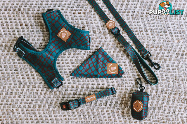 Designer Dog Collars by Explore with Paws - EWPCOLXSLEON