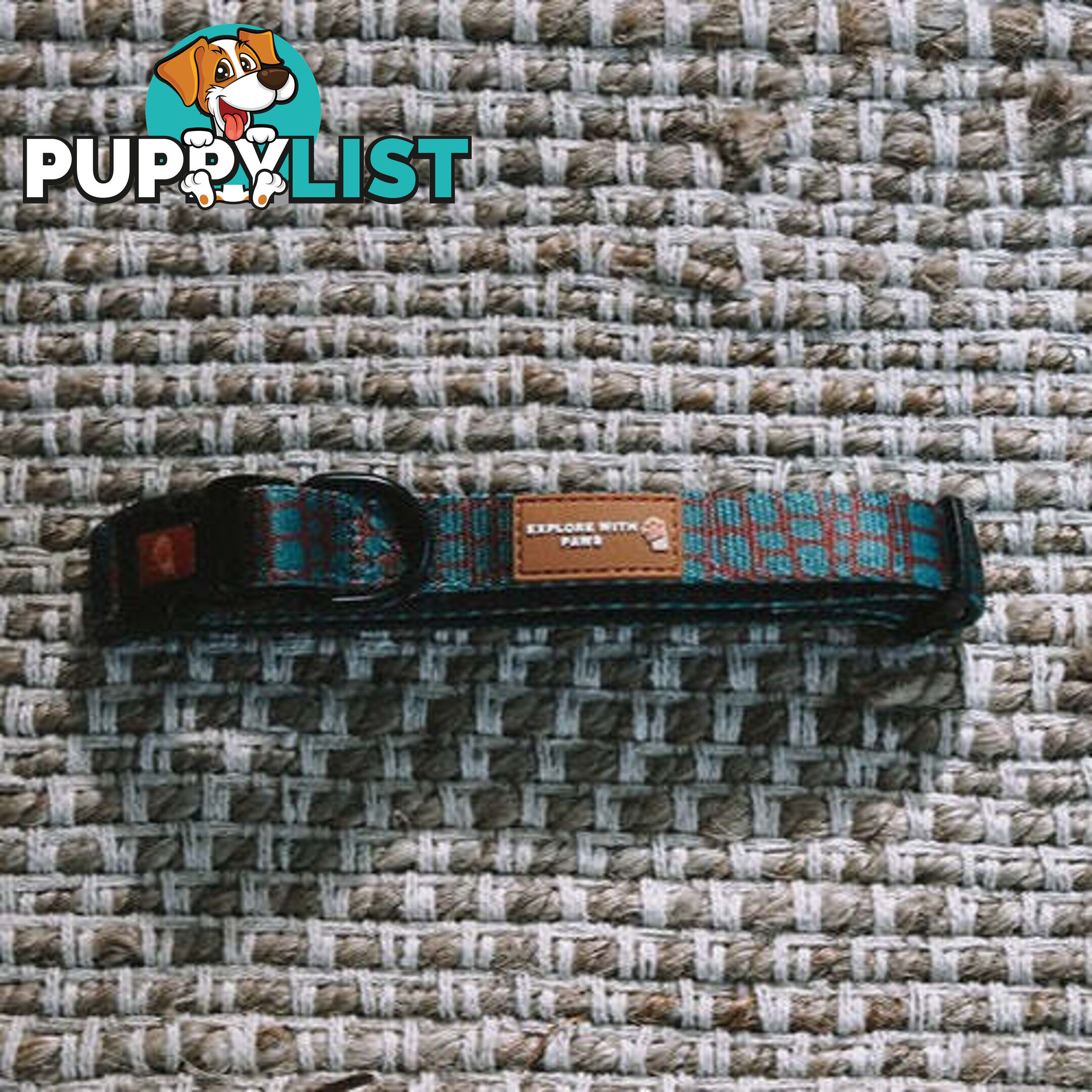 Designer Dog Collars by Explore with Paws - EWPCOLXSLEON