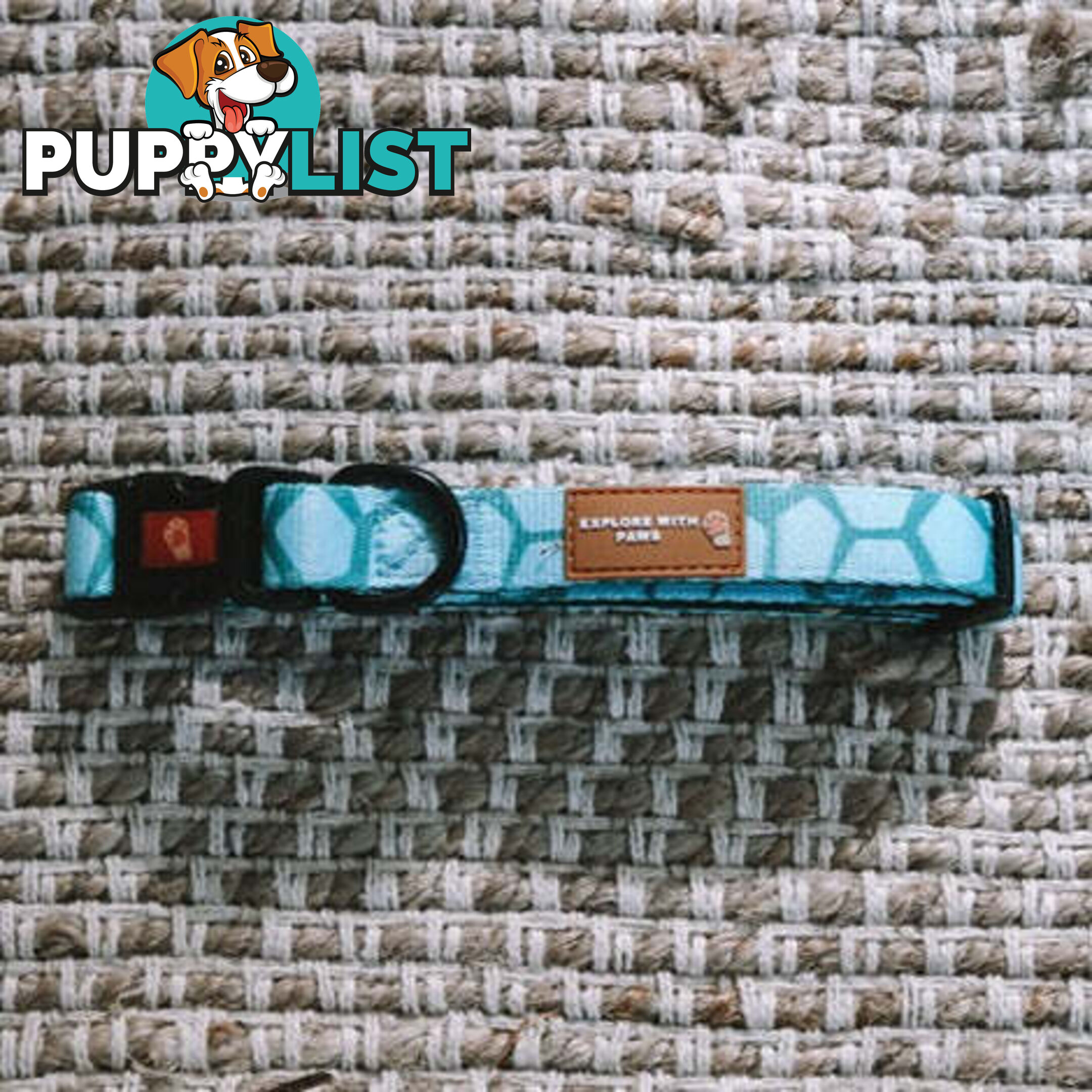 Designer Dog Collars by Explore with Paws - EWPCOLXSLEON