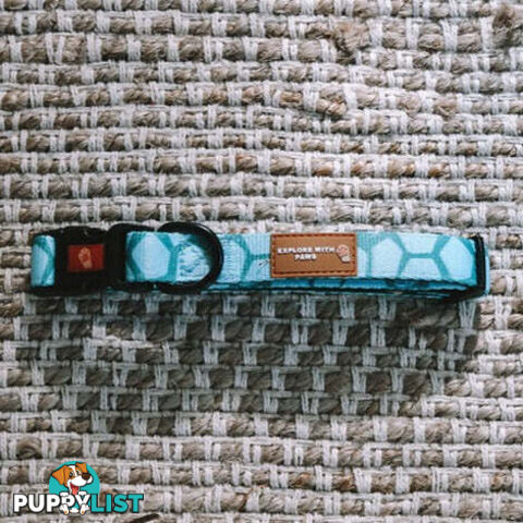 Designer Dog Collars by Explore with Paws - EWPCOLXSLEON
