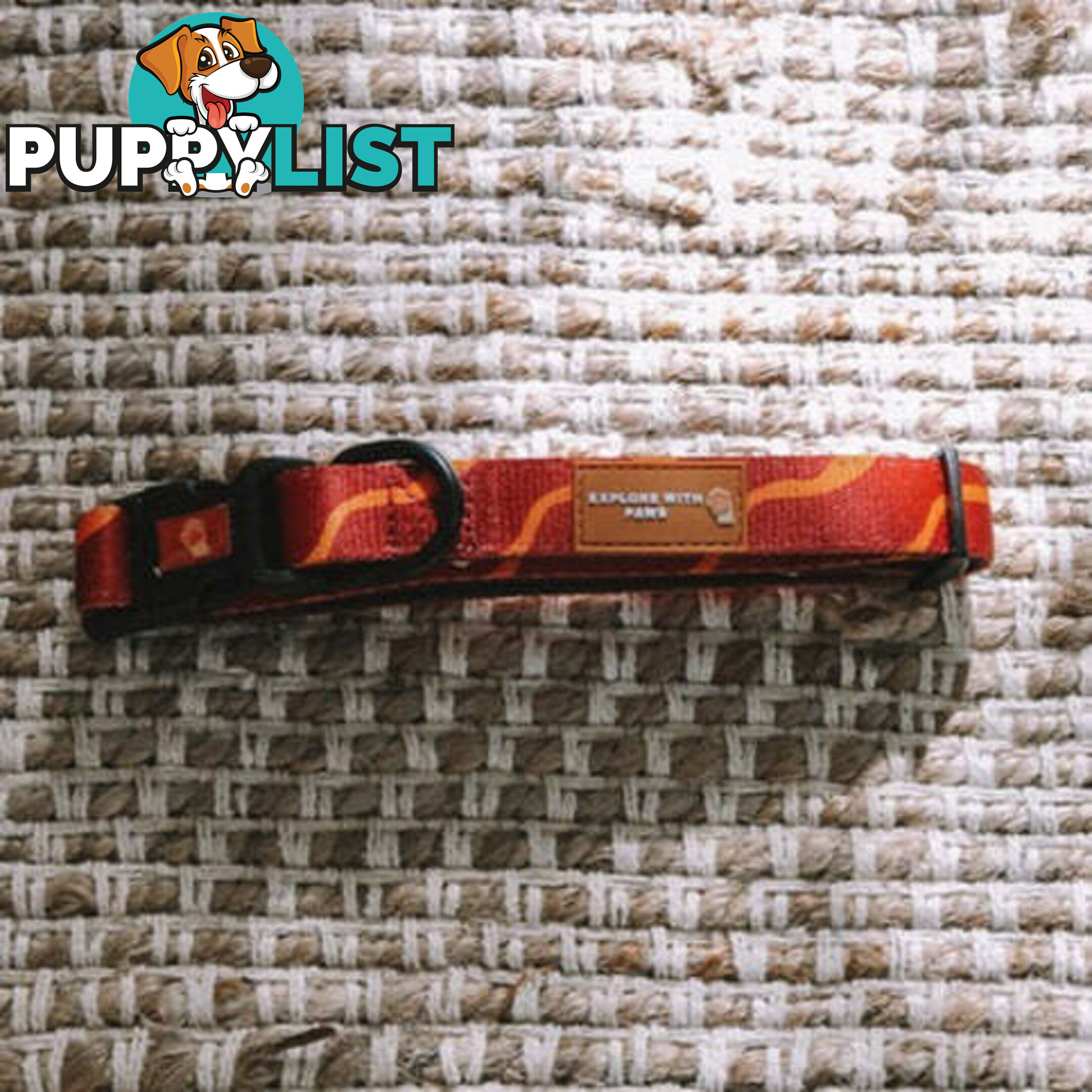 Designer Dog Collars by Explore with Paws - EWPCOLXSLEON