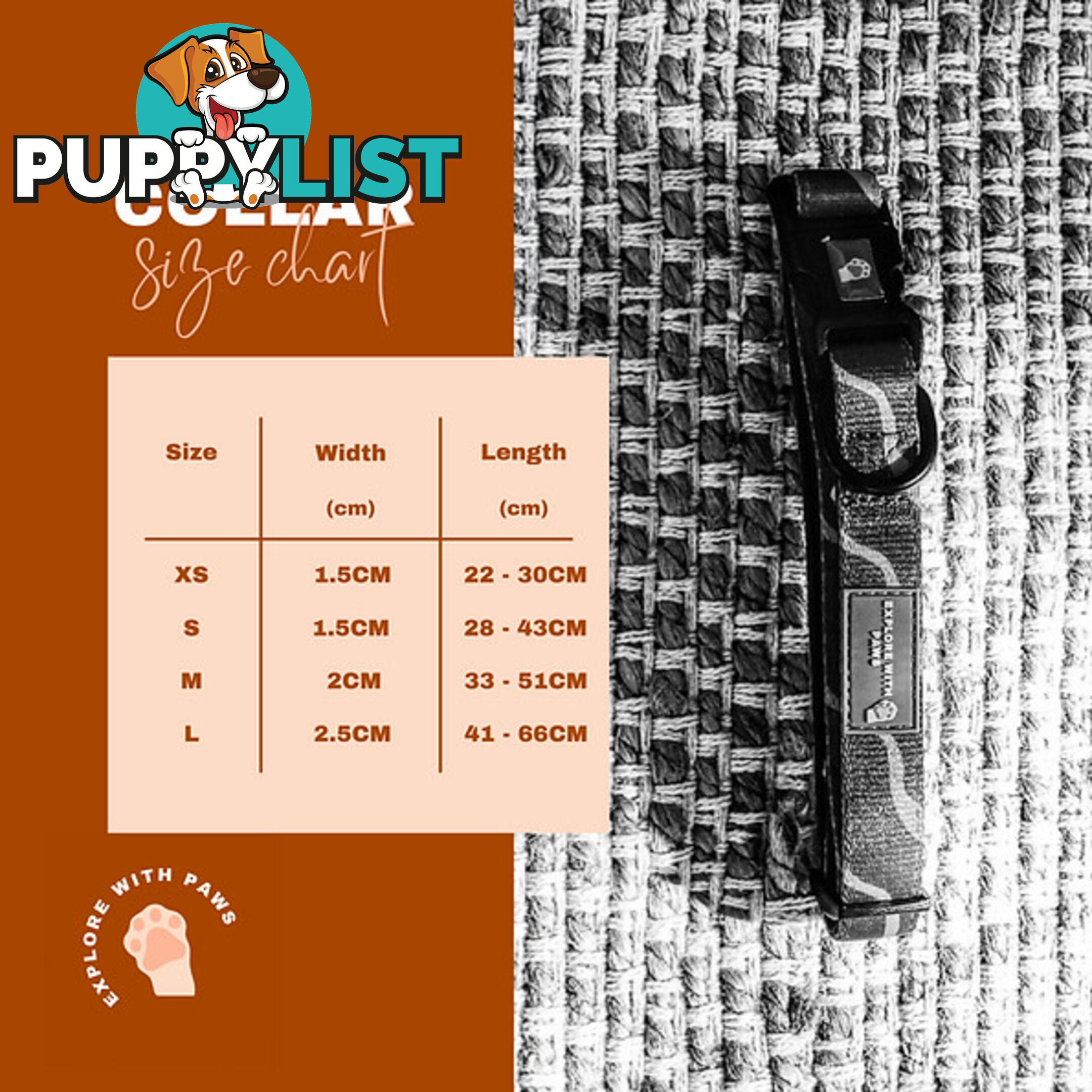 Designer Dog Collars by Explore with Paws - EWPCOLXSLEON
