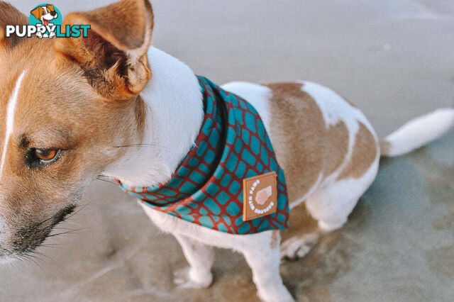 Designer Dog Bandana's by Explore with Paws - EWPBANMTUR