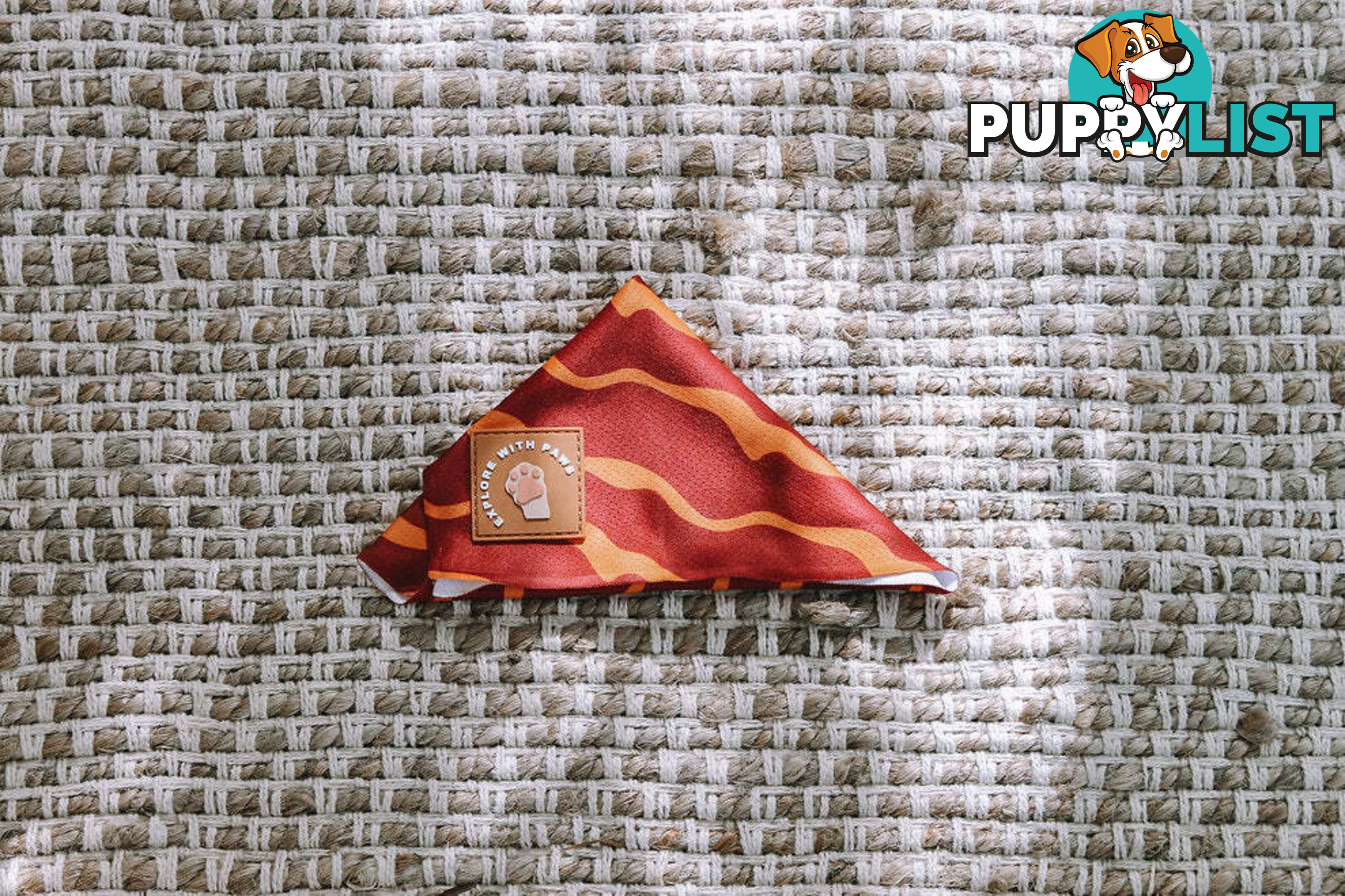 Designer Dog Bandana's by Explore with Paws - EWPBANMTUR