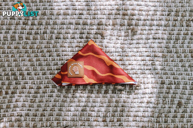 Designer Dog Bandana's by Explore with Paws - EWPBANMTUR