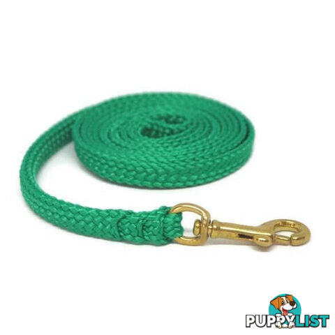 1.8m to 10m Long Dog Lead No Stitching Tough Yarnix 10mm Wide - YNXLD10-1.8YELBR