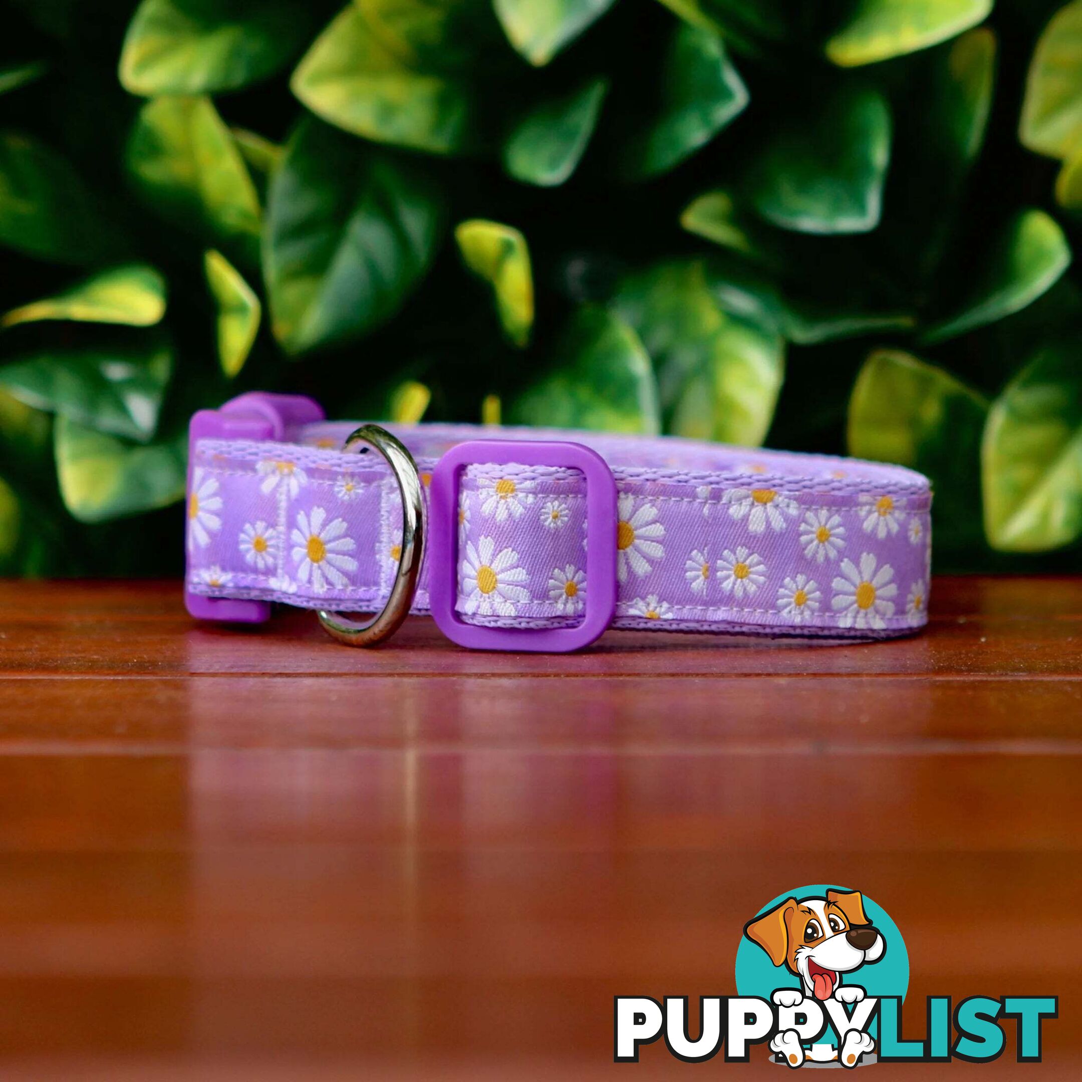 Daisy Dog Collar -  Hand Made by The Bark Side - TBSDAIMLAV