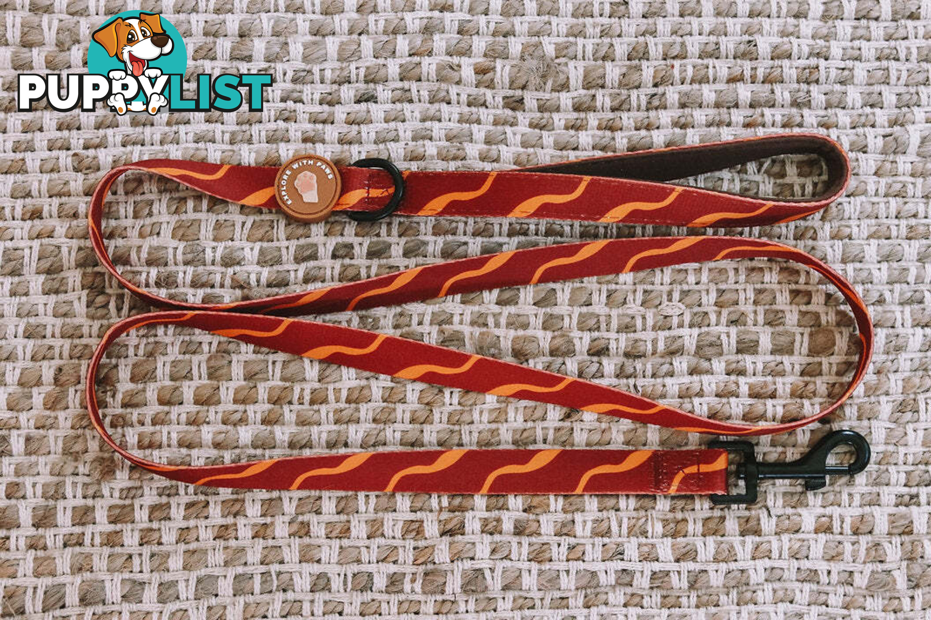 Designer Dog Leads by Explore with Paws - EWPLDTUR