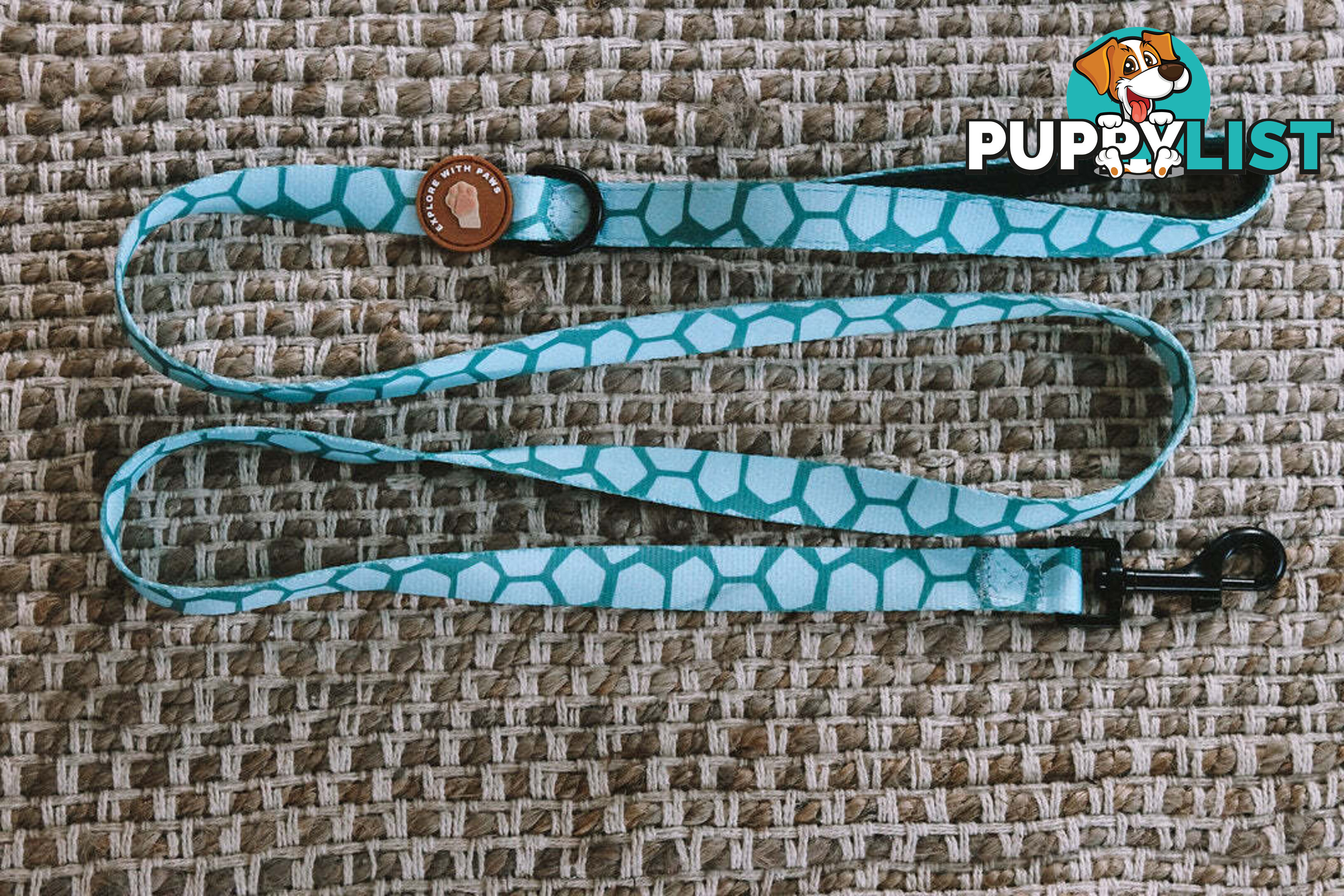 Designer Dog Leads by Explore with Paws - EWPLDTUR