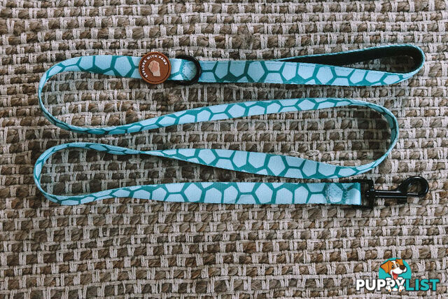 Designer Dog Leads by Explore with Paws - EWPLDTUR