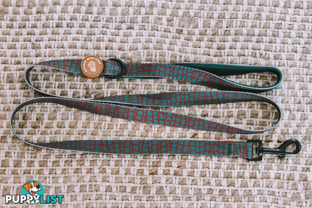 Designer Dog Leads by Explore with Paws - EWPLDTUR
