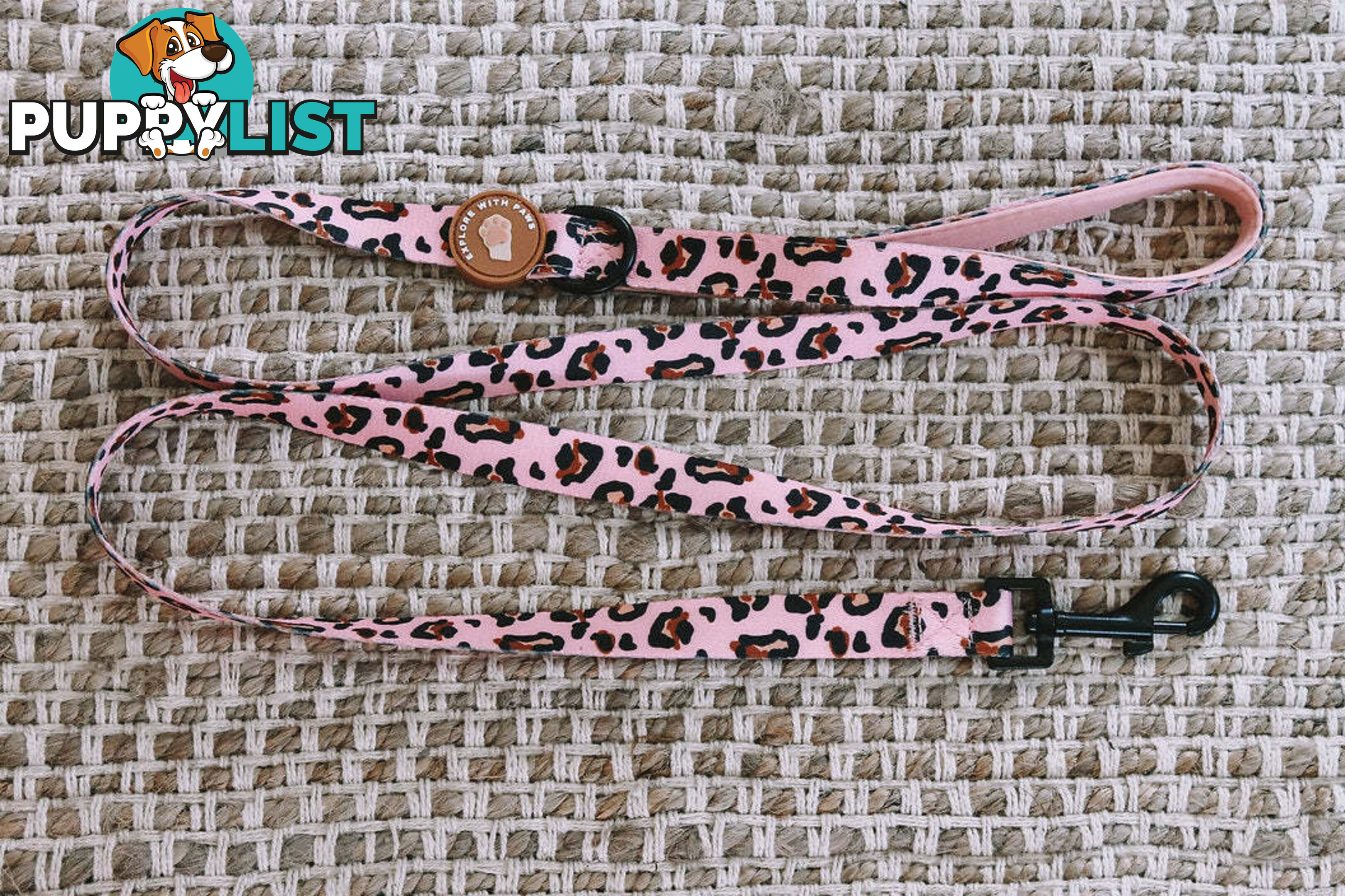 Designer Dog Leads by Explore with Paws - EWPLDTUR