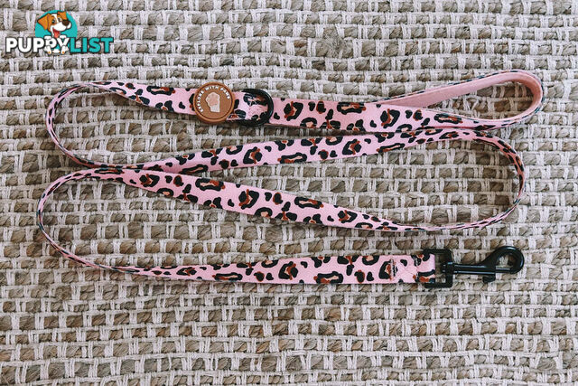 Designer Dog Leads by Explore with Paws - EWPLDTUR