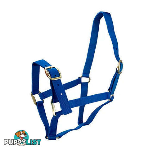 Click to Enlarge HORSE HALTERS - BAINBRIDGE - BB-A2202-RED