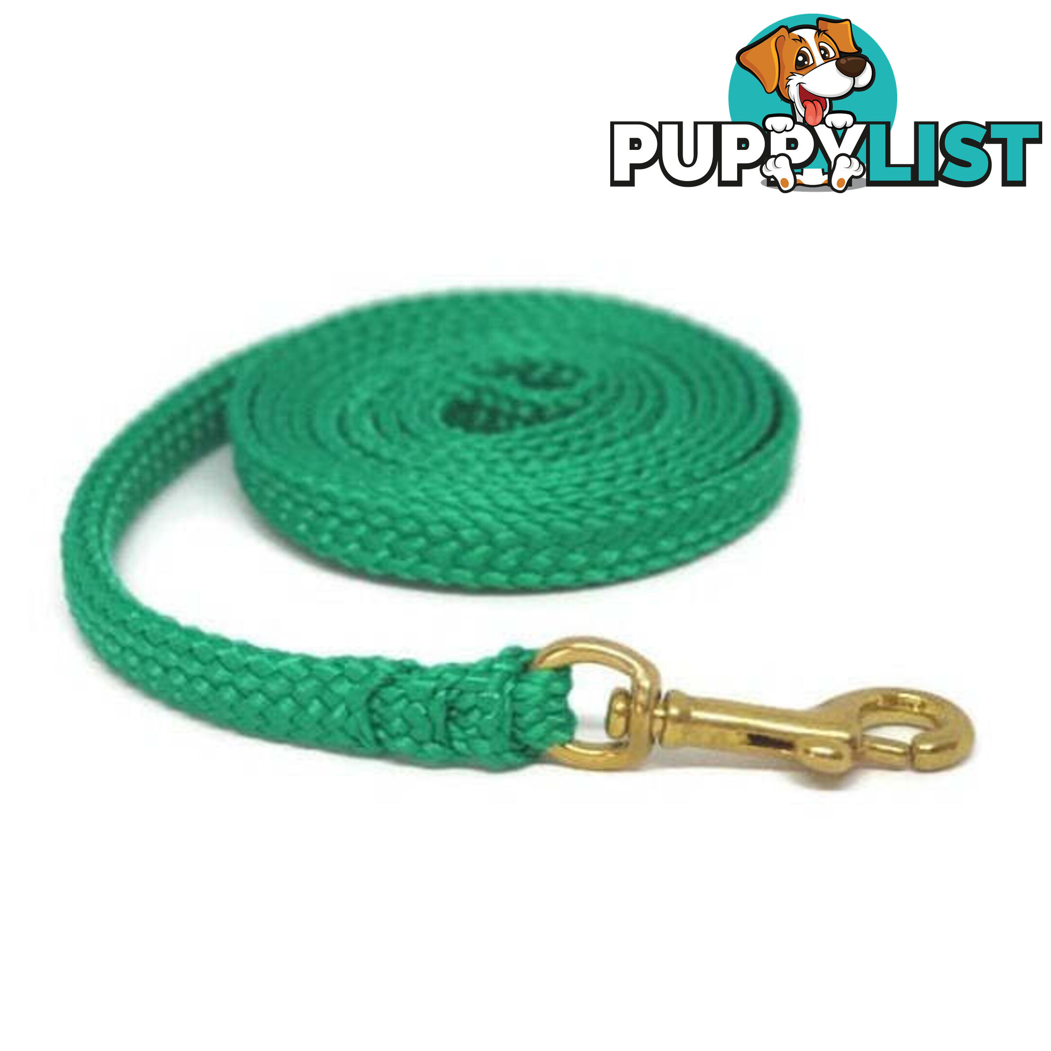 1.8m to 10m Long Dog Lead No Stitching Tough Yarnix 10mm Wide - YNXLD10-10-PUR-SS