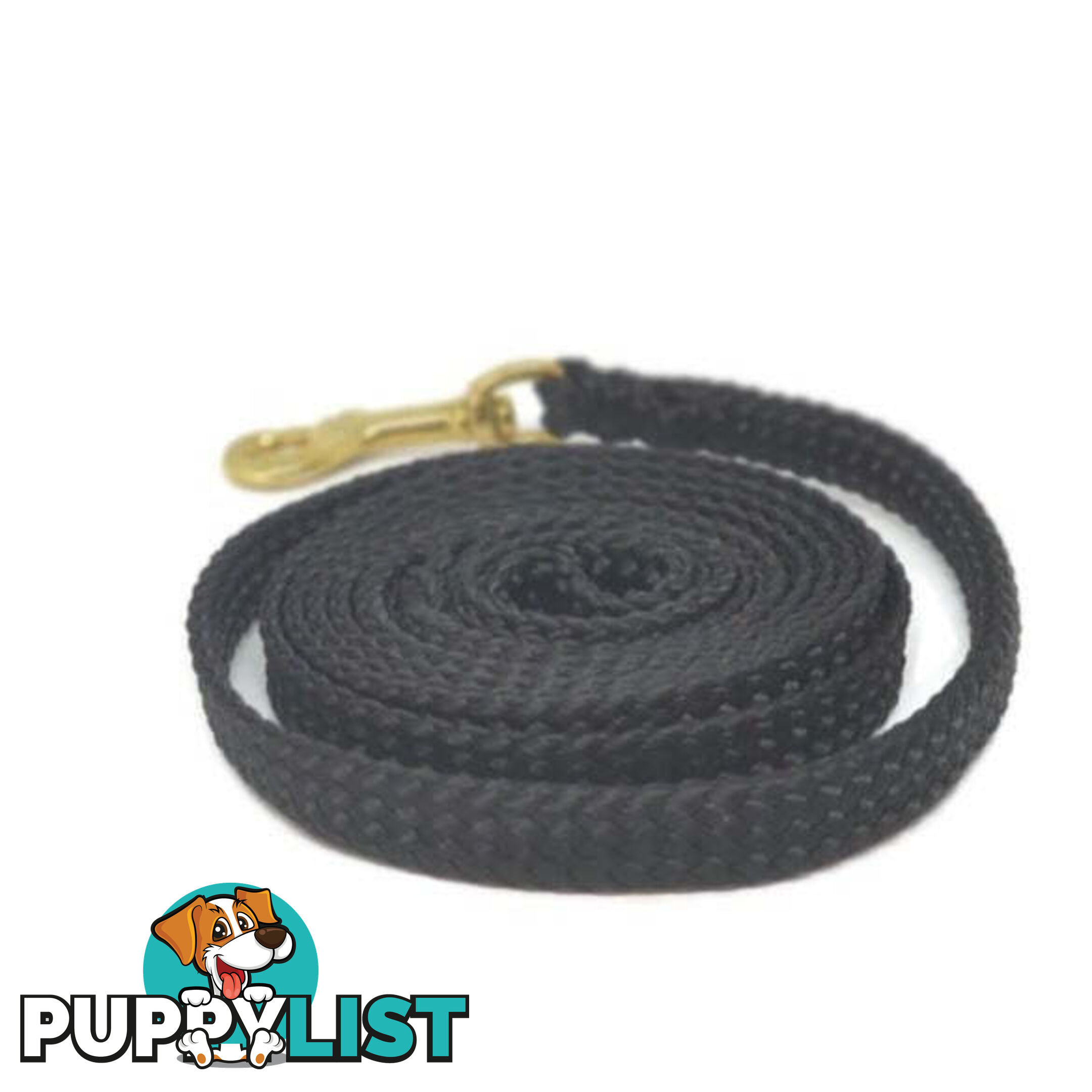 1.8m to 10m Long Dog Lead No Stitching Tough Yarnix 10mm Wide - YNXLD10-10-PUR-SS