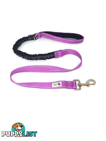 Bungee Dog Lead Nylon w/Reflective Stitching - Moondidley Pets - MDPLDBUNPNK
