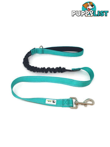 Bungee Dog Lead Nylon w/Reflective Stitching - Moondidley Pets - MDPLDBUNPNK