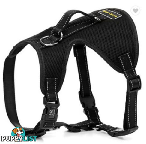 Dog Harness Billi Bob Soft Mesh Reflective Webbing - Moondidley Pets - MDPHARBILXLPUR