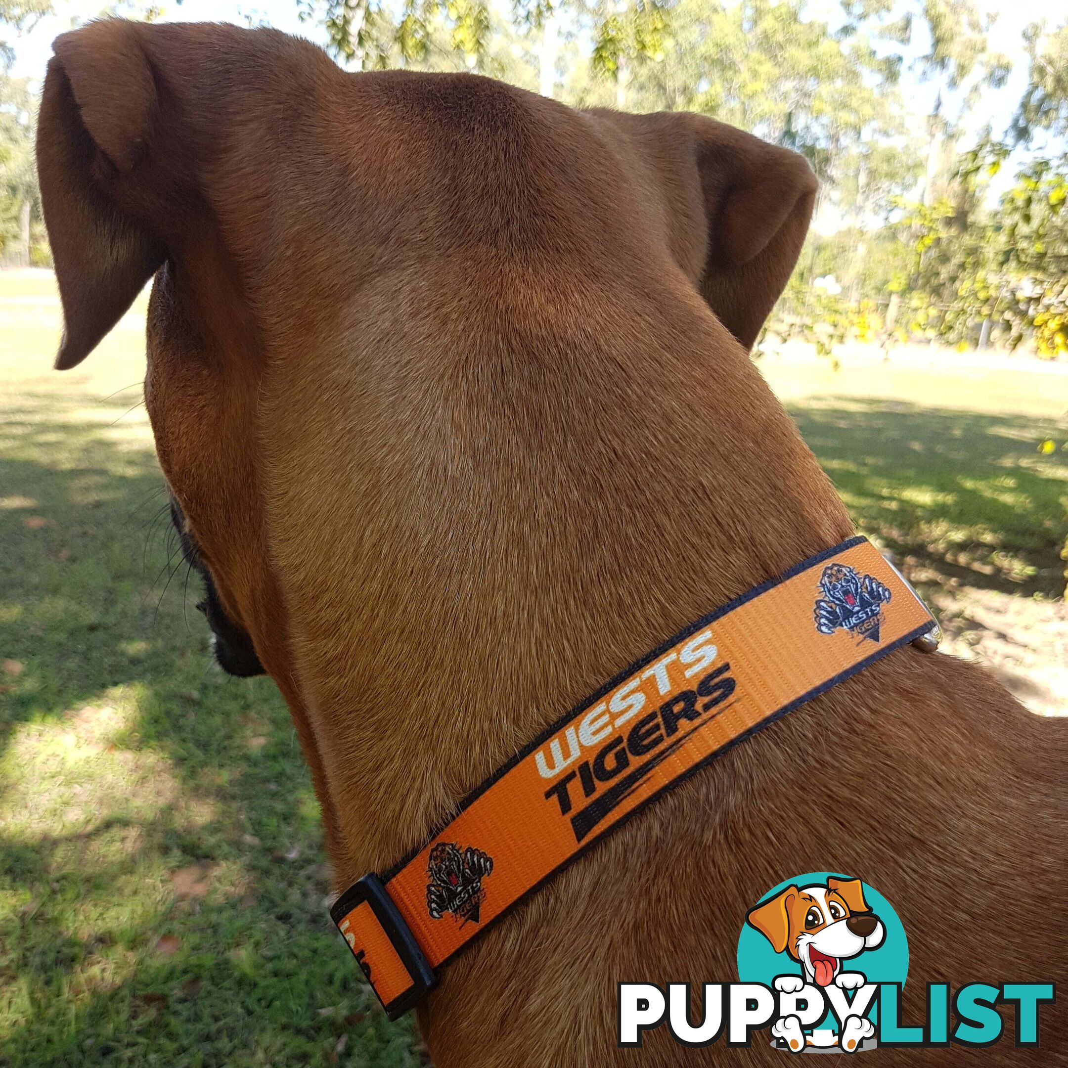 Dog Collars - NRL Footy Pets - FP-COL-S-SHA